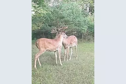 19820 Ivey Road, Chelsea, MI 48118 - Photo 5