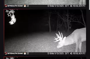 19820 Ivey Rd, Chelsea, MI 48118 - Photo 41