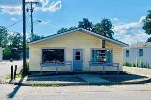 119 N Camburn St, Stanton, MI 48888 - Photo 15