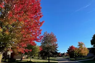 5322 Pinnacle Ct, Ann Arbor, MI 48108 - Photo 69