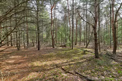 Vl Hiawatha Drive, West Olive, MI 49460 - Photo 3