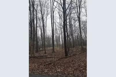 [Address not provided], Jackson, MI 49201 - Photo 5