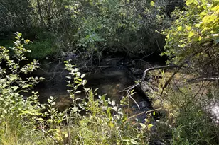 125 N Cedar St, Evart, MI 49631 - Photo 65