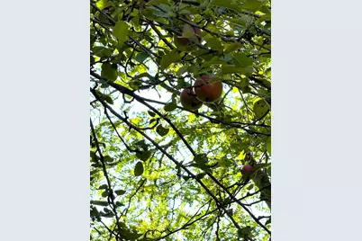 125 N Cedar Street, Evart, MI 49631 - Photo 73