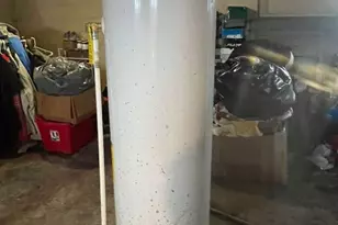 6476 Brace St, Detroit, MI 48228 - Photo 13