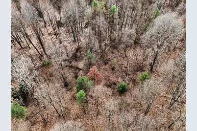 V/L Jones Road, Battle Creek, MI 49017 - Photo 9