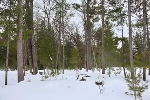 4440 W Cherry Creek Rd, Greenwood, MI 49756 - Photo 49