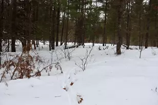 4440 W Cherry Creek Rd, Greenwood, MI 49756 - Photo 33