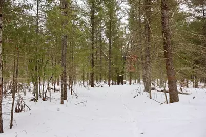 4440 W Cherry Creek Road, Greenwood, MI 49756 - Photo 39