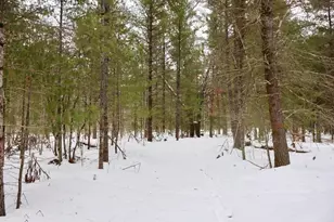 4440 W Cherry Creek Rd, Greenwood, MI 49756 - Photo 39