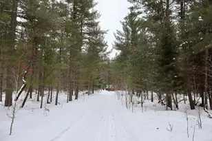 4440 W Cherry Creek Rd, Greenwood, MI 49756 - Photo 21