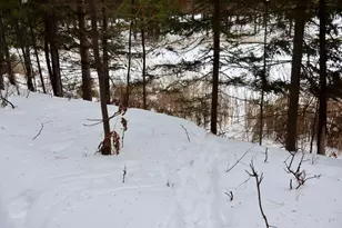 4440 W Cherry Creek Rd, Greenwood, MI 49756 - Photo 53