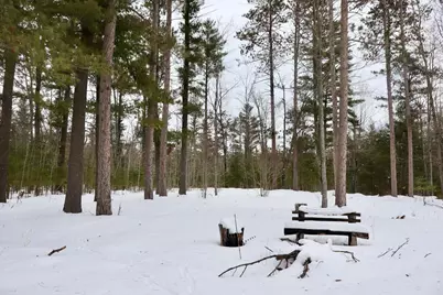 4440 W Cherry Creek Road, Greenwood, MI 49756 - Photo 19