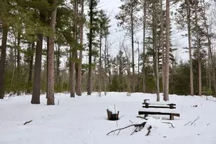 4440 W Cherry Creek Rd, Greenwood, MI 49756 - Photo 19