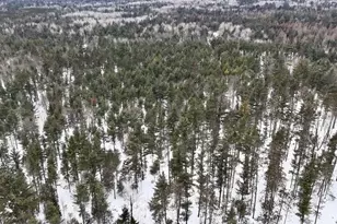 4440 W Cherry Creek Rd, Greenwood, MI 49756 - Photo 5