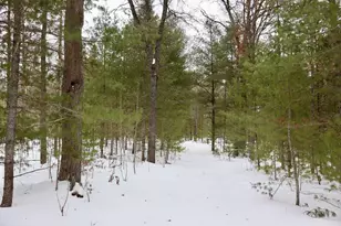 4440 W Cherry Creek Rd, Greenwood, MI 49756 - Photo 51