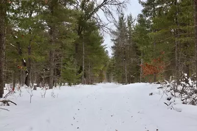 4440 W Cherry Creek Road, Greenwood, MI 49756 - Photo 9