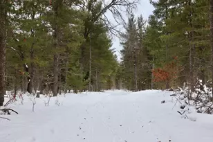 4440 W Cherry Creek Rd, Greenwood, MI 49756 - Photo 9