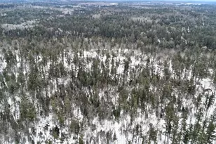 4440 W Cherry Creek Rd, Greenwood, MI 49756 - Photo 27