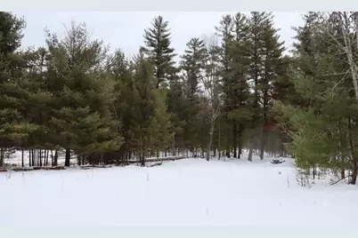 4440 W Cherry Creek Road, Greenwood, MI 49756 - Photo 11