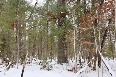 4440 W Cherry Creek Road, Greenwood, MI 49756 - Photo 41