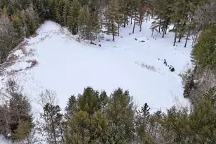 4440 W Cherry Creek Rd, Greenwood, MI 49756 - Photo 23