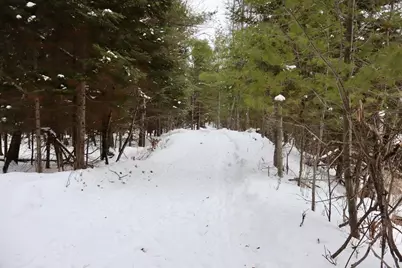 4440 W Cherry Creek Road, Greenwood, MI 49756 - Photo 35