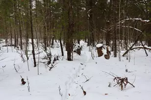 4440 W Cherry Creek Rd, Greenwood, MI 49756 - Photo 43