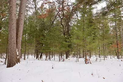 4440 W Cherry Creek Road, Greenwood, MI 49756 - Photo 31