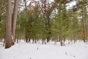 4440 W Cherry Creek Rd, Greenwood, MI 49756 - Photo 31