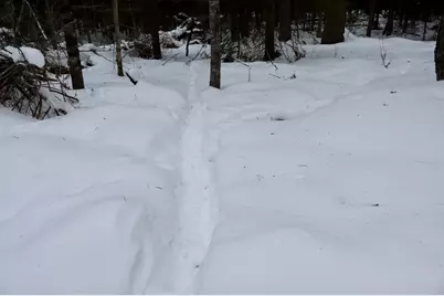 4440 W Cherry Creek Road, Greenwood, MI 49756 - Photo 37