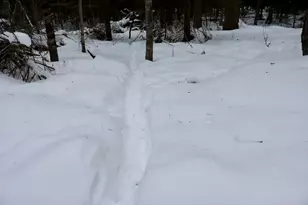 4440 W Cherry Creek Rd, Greenwood, MI 49756 - Photo 37