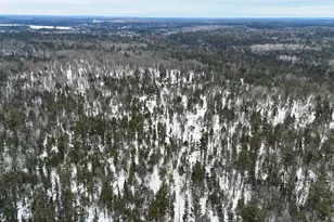 4440 W Cherry Creek Rd, Greenwood, MI 49756 - Photo 25