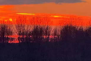 251 Stonecrest Dr, Shelby, MI 49455 - Photo 23