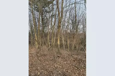 4311 S Youngman Road, Greenville, MI 48838 - Photo 7