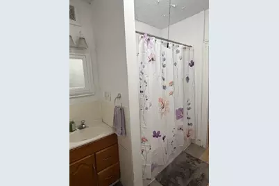 223 W Madison Street, Big Rapids, MI 49307 - Photo 25