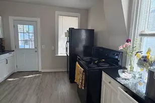 223 W Madison St, Big Rapids, MI 49307 - Photo 9