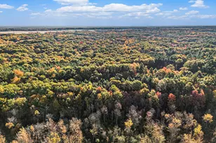5837 Timber Blf Trl, Fennville, MI 49408 - Photo 27