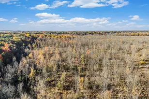 5837 Timber Blf Trl, Fennville, MI 49408 - Photo 31