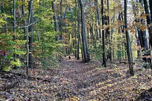 5837 Timber Blf Trl, Fennville, MI 49408 - Photo 43