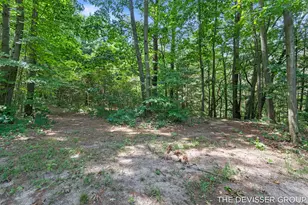 5837 Timber Blf Trl, Fennville, MI 49408 - Photo 33