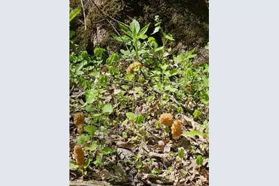 17550 U.S. 12, Cement City, MI 49233 - Photo 17