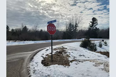 Vacant E Starlight Ridge Circle #58, Onekama, MI 49675 - Photo 5