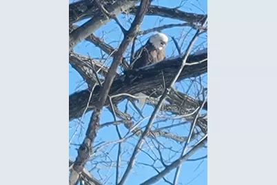 2307 Tecumseh Drive, Brooklyn, MI 49230 - Photo 73