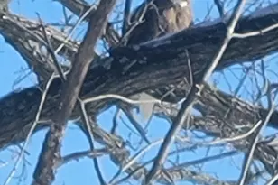 2307 Tecumseh Dr, Brooklyn, MI 49230 - Photo 73