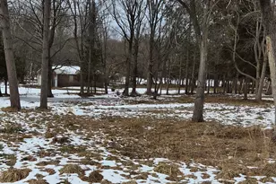 00 Mill St, Onekama, MI 49675 - Photo 1