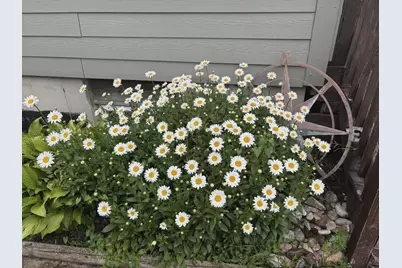 4112 E Vermontville Highway, Potterville, MI 48876 - Photo 7