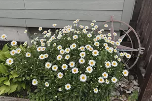 4112 E Vermontville Hwy, Potterville, MI 48876 - Photo 7