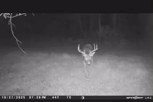 4112 E Vermontville Hwy, Potterville, MI 48876 - Photo 33