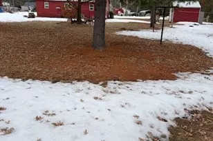 10151 Ponderosa Rd, Saint Helen, MI 48656 - Photo 13